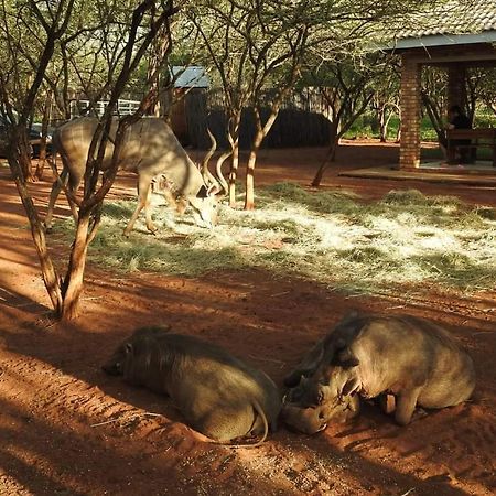 462 Bosbok Chalets Marloth Park Ngoại thất bức ảnh