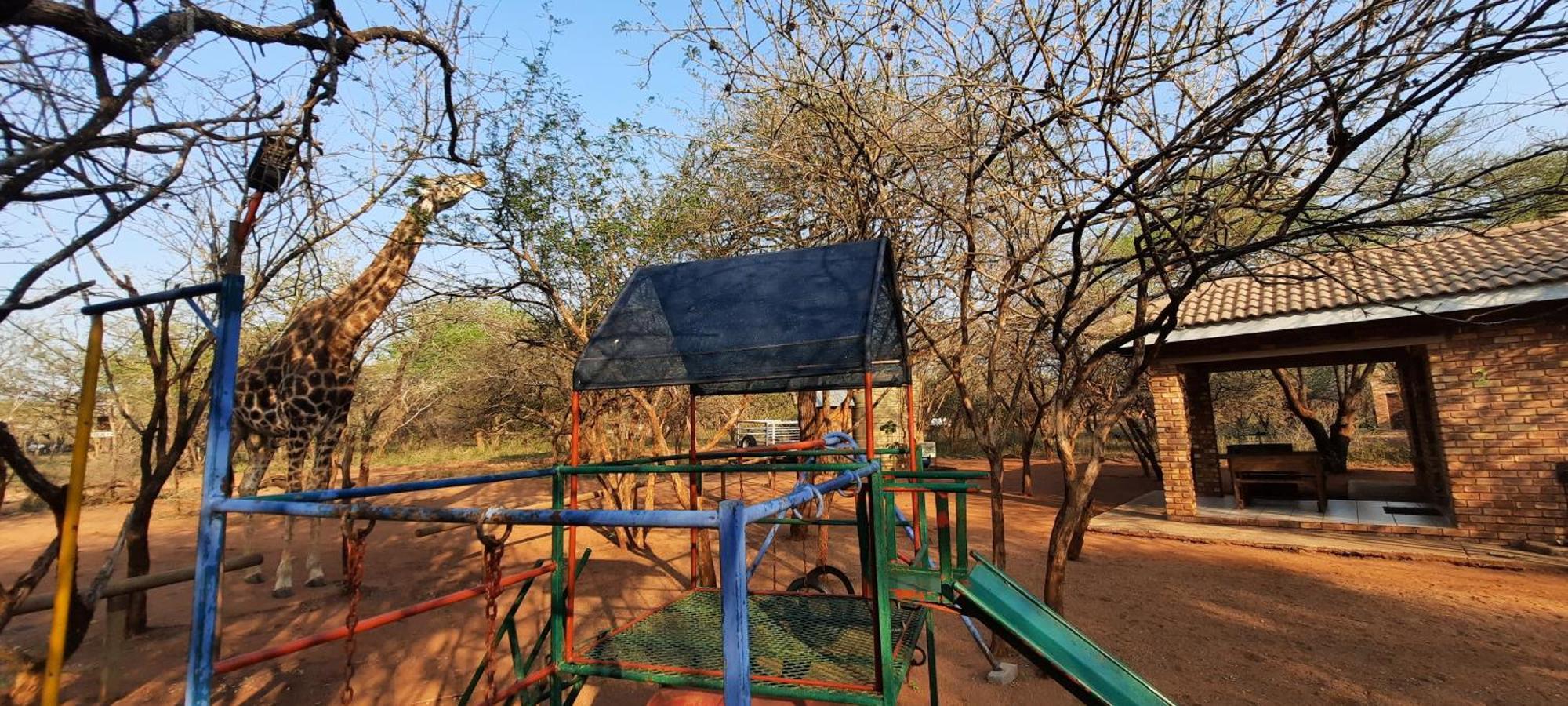 462 Bosbok Chalets Marloth Park Phòng bức ảnh